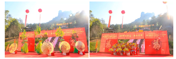 午夜熟女插插XX免费视频