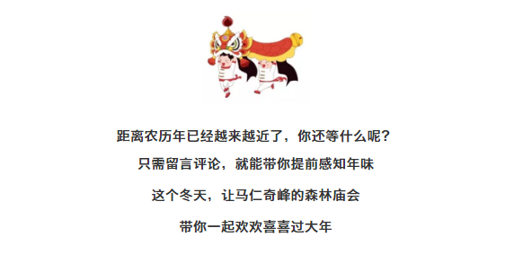 午夜熟女插插XX免费视频