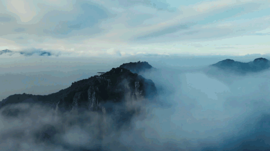 午夜熟女插插XX免费视频