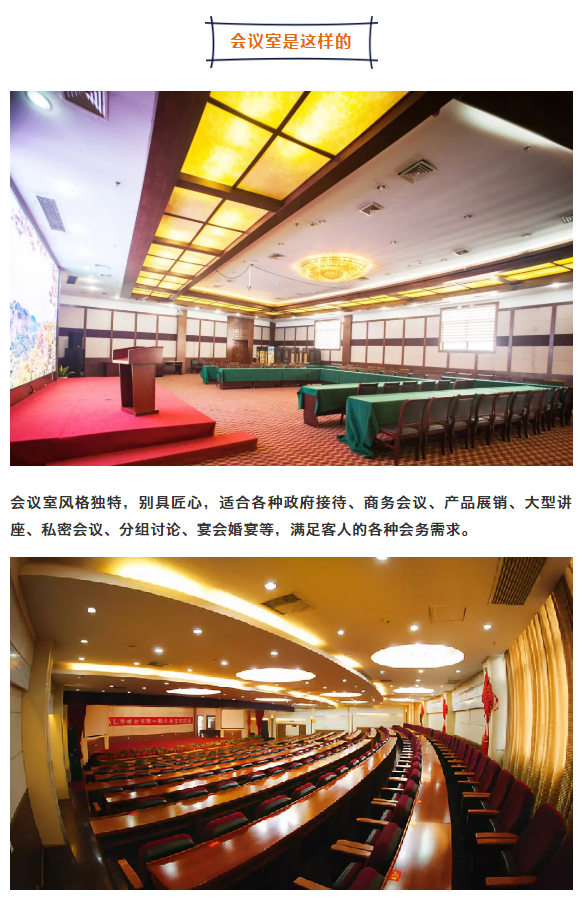 午夜熟女插插XX免费视频