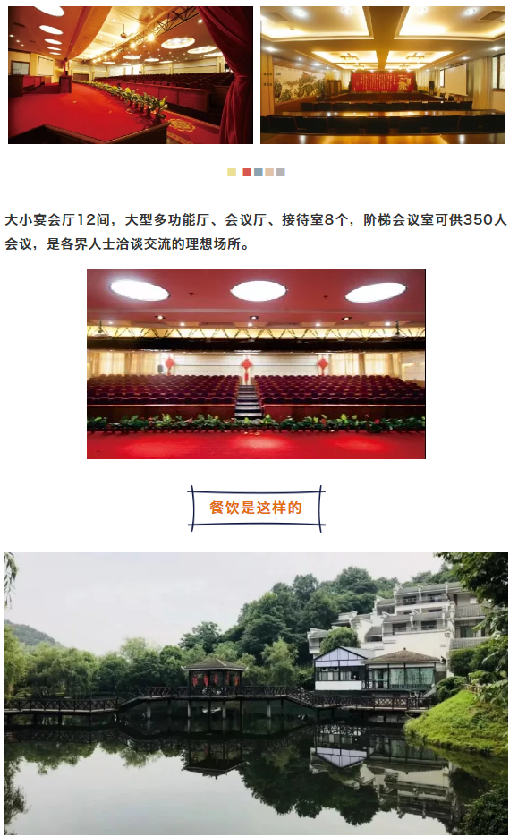 午夜熟女插插XX免费视频