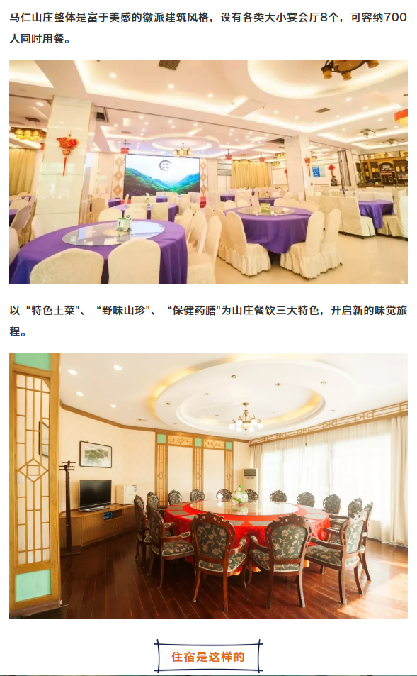 午夜熟女插插XX免费视频