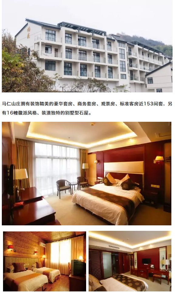 午夜熟女插插XX免费视频