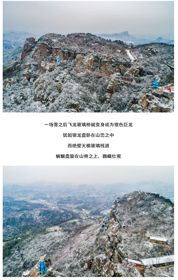 午夜熟女插插XX免费视频