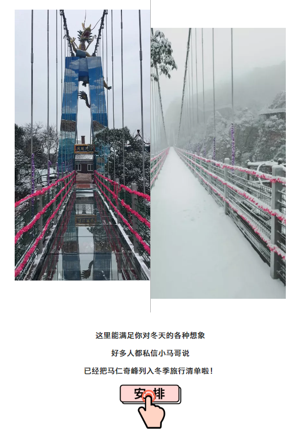 午夜熟女插插XX免费视频