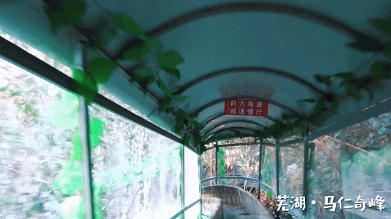 午夜熟女插插XX免费视频