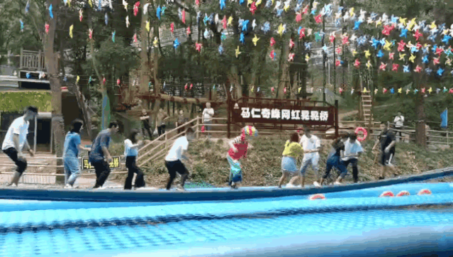 午夜熟女插插XX免费视频