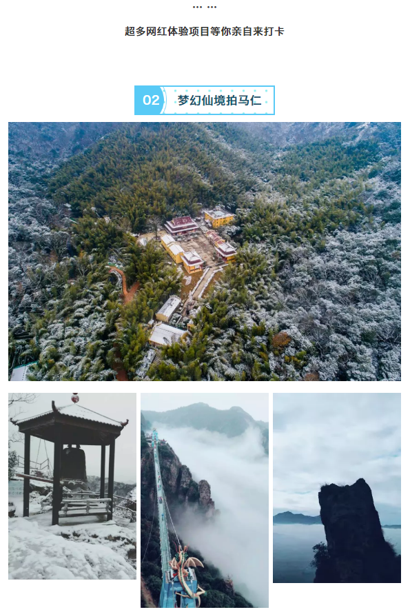 午夜熟女插插XX免费视频