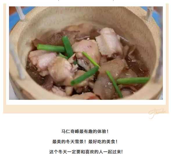 午夜熟女插插XX免费视频