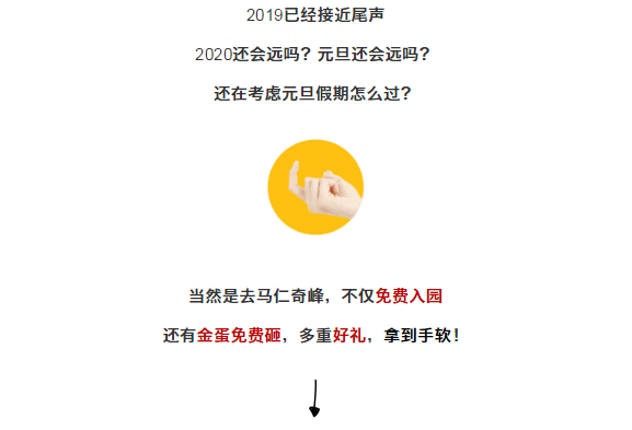 午夜熟女插插XX免费视频