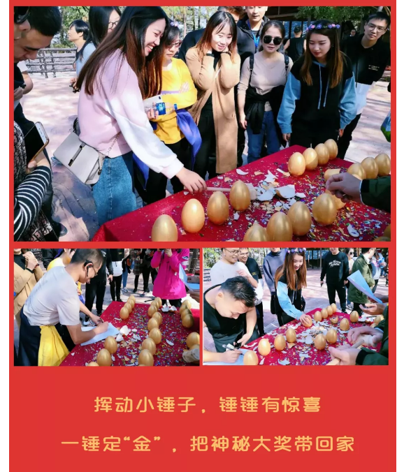 午夜熟女插插XX免费视频