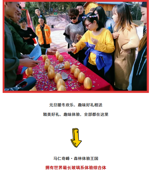 午夜熟女插插XX免费视频