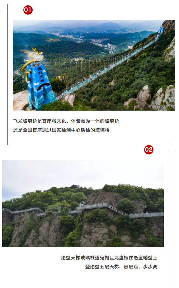 午夜熟女插插XX免费视频