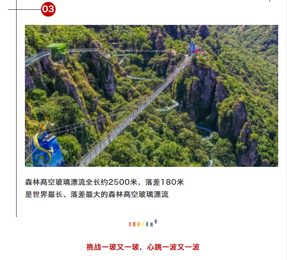 午夜熟女插插XX免费视频