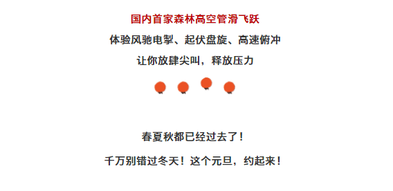 午夜熟女插插XX免费视频