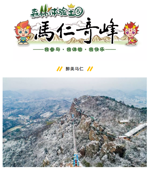 午夜熟女插插XX免费视频