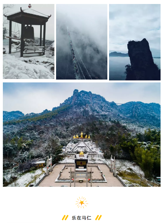 午夜熟女插插XX免费视频