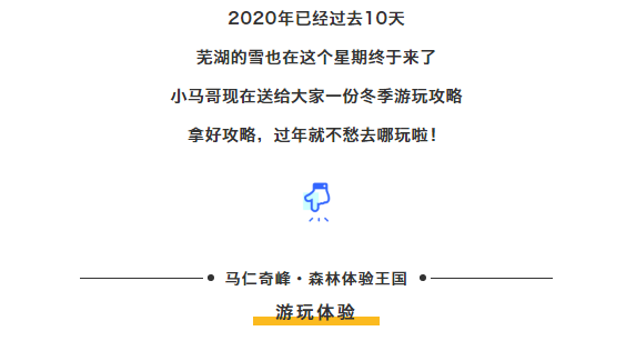 午夜熟女插插XX免费视频