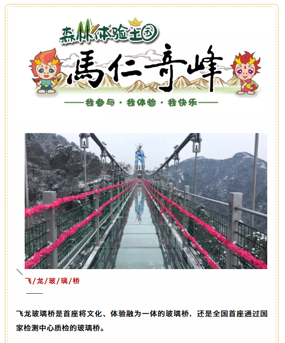 午夜熟女插插XX免费视频