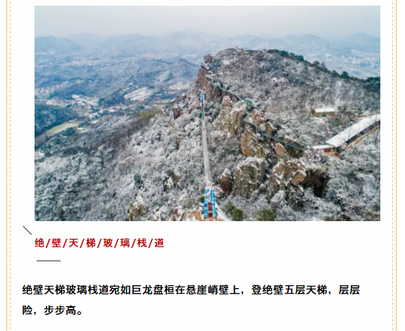 午夜熟女插插XX免费视频