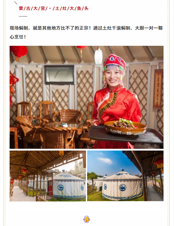 午夜熟女插插XX免费视频