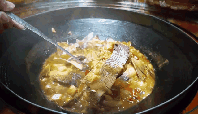 午夜熟女插插XX免费视频