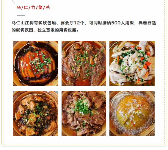 午夜熟女插插XX免费视频