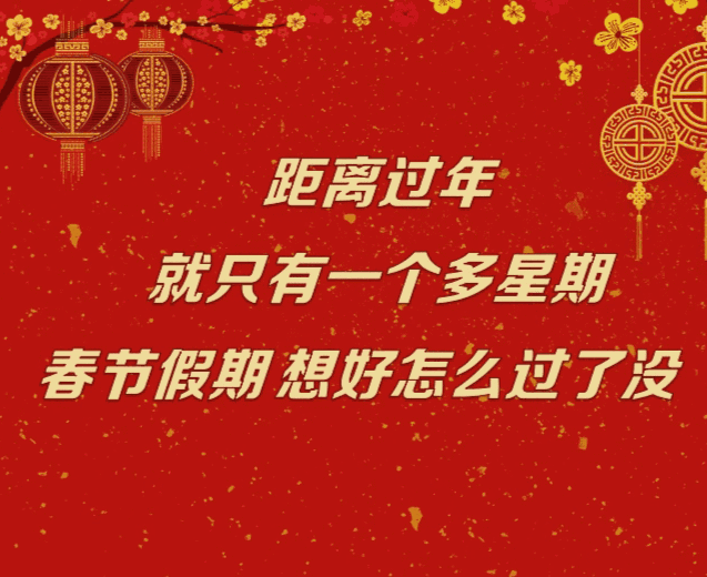 午夜熟女插插XX免费视频