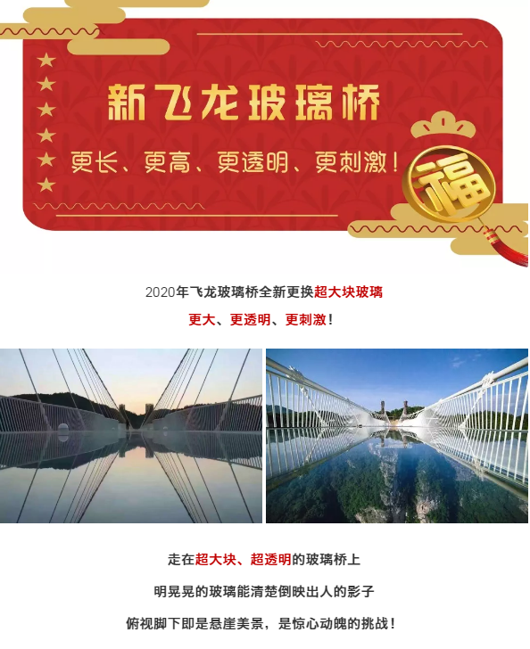 午夜熟女插插XX免费视频