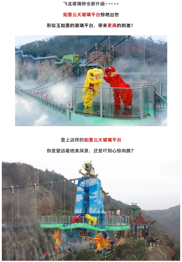 午夜熟女插插XX免费视频