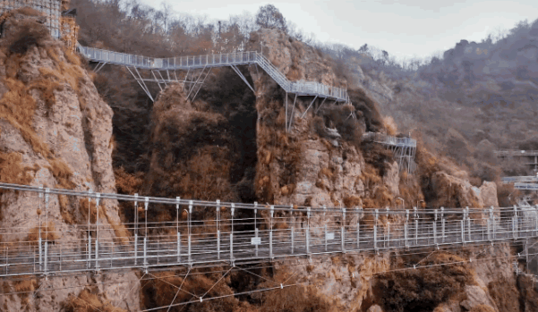 午夜熟女插插XX免费视频