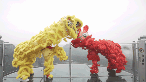 午夜熟女插插XX免费视频