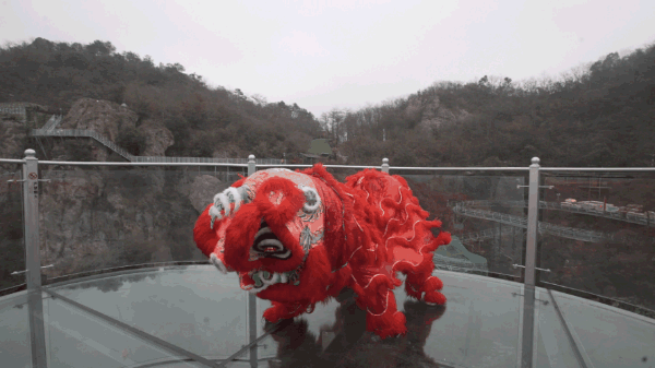 午夜熟女插插XX免费视频