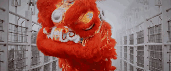 午夜熟女插插XX免费视频