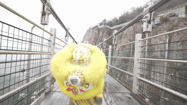 午夜熟女插插XX免费视频