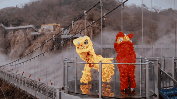 午夜熟女插插XX免费视频