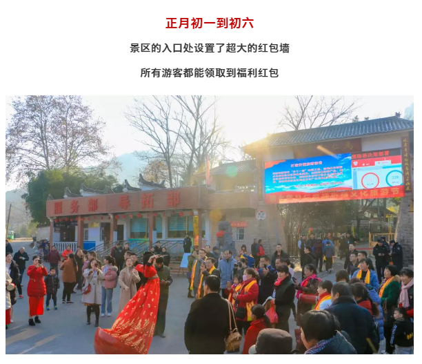 午夜熟女插插XX免费视频