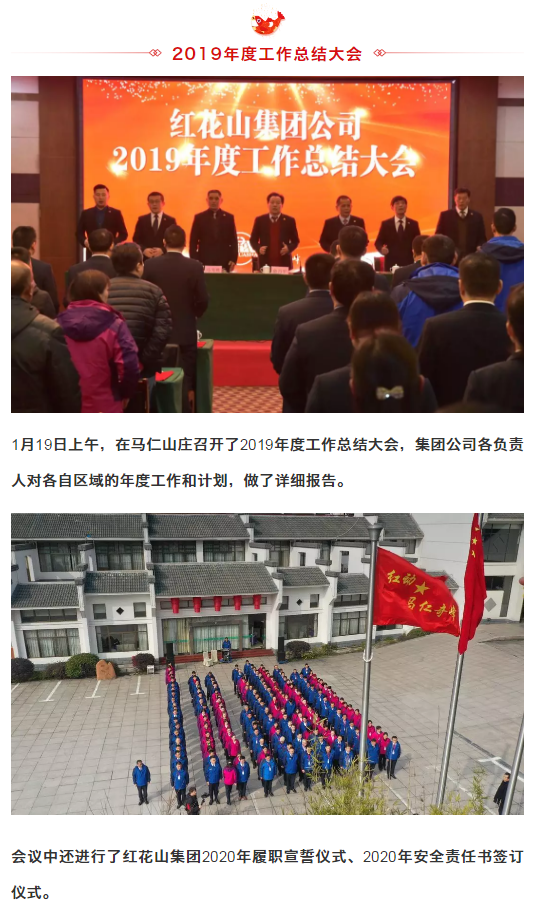 午夜熟女插插XX免费视频