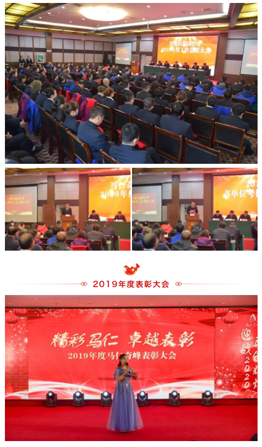 午夜熟女插插XX免费视频