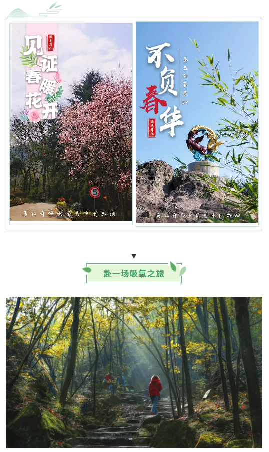 午夜熟女插插XX免费视频