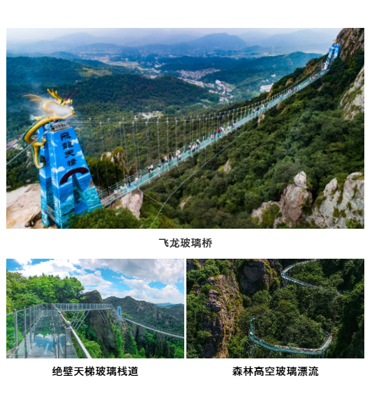 午夜熟女插插XX免费视频