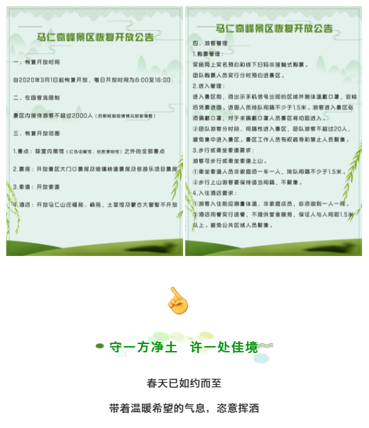 午夜熟女插插XX免费视频