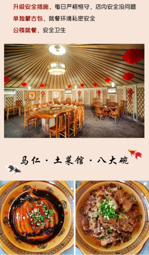 午夜熟女插插XX免费视频