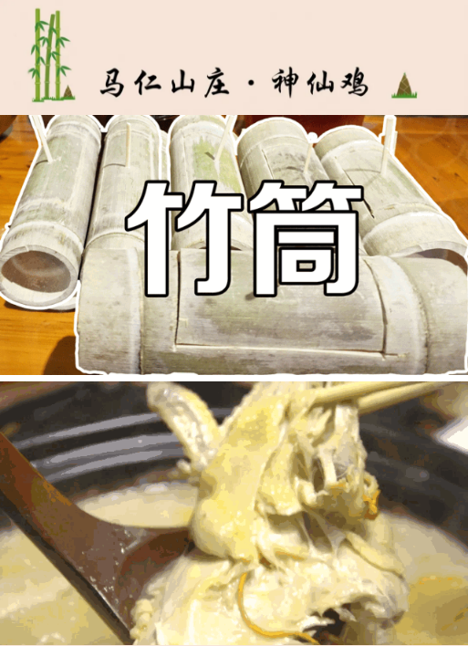 午夜熟女插插XX免费视频