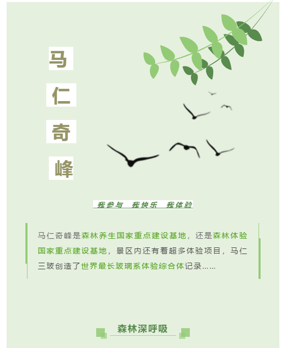 午夜熟女插插XX免费视频