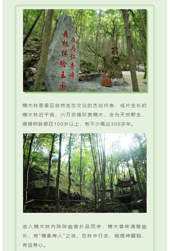 午夜熟女插插XX免费视频