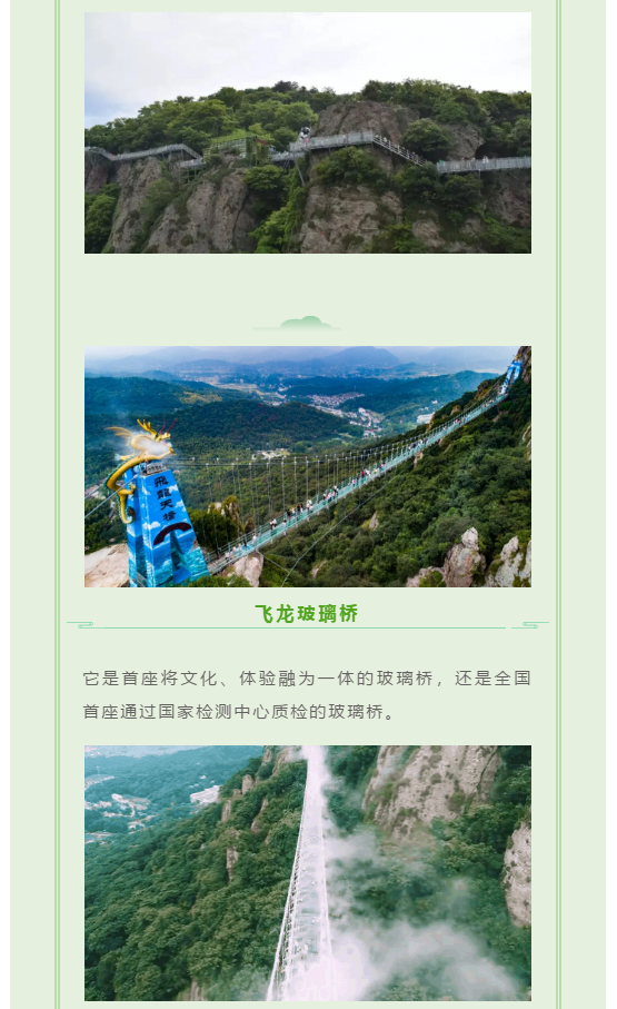 午夜熟女插插XX免费视频