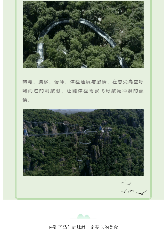 午夜熟女插插XX免费视频