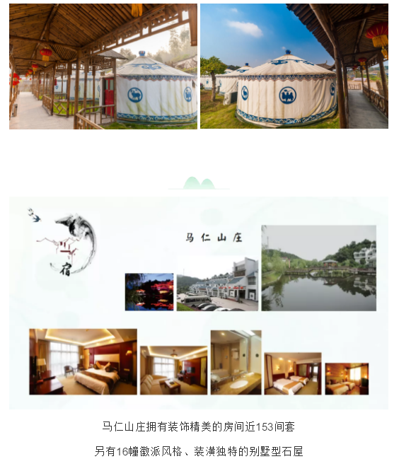 午夜熟女插插XX免费视频