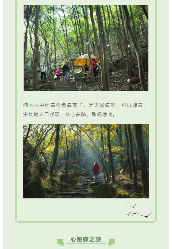 午夜熟女插插XX免费视频